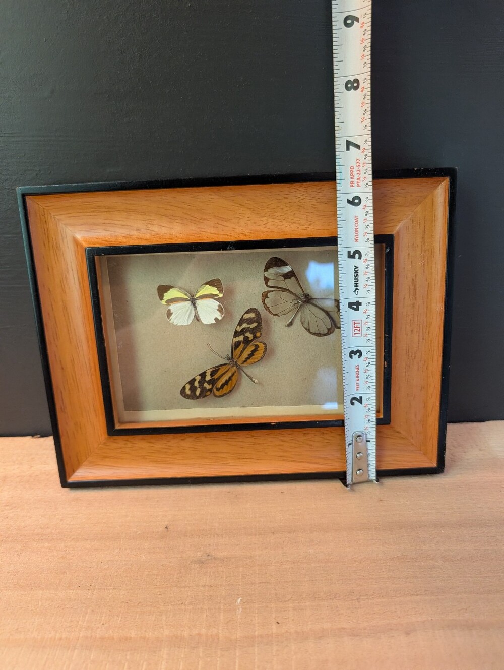 Retro Butterflies In Frame - Picture 5 of 6